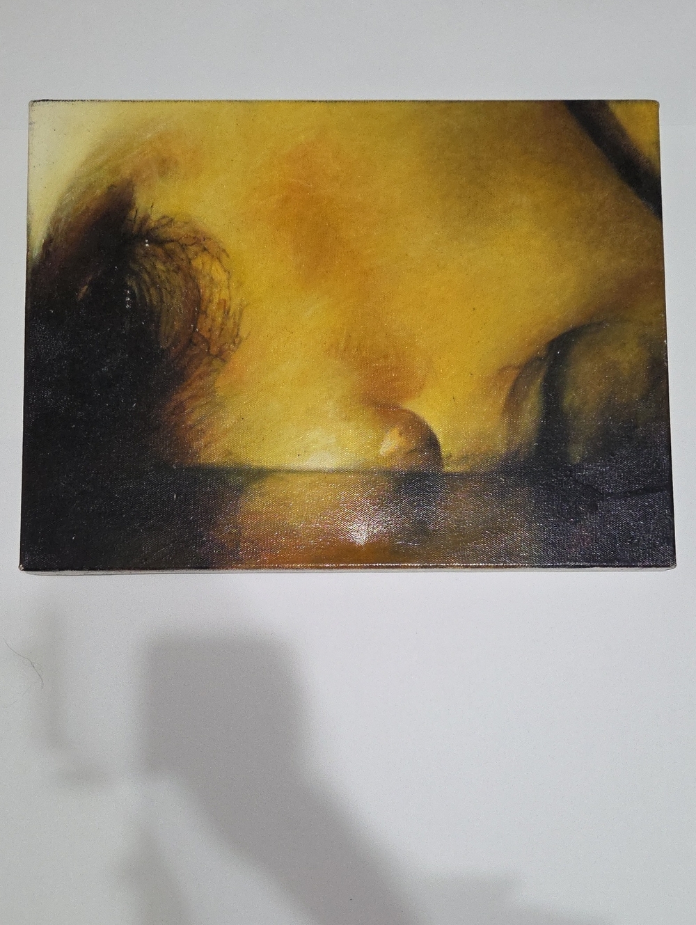 Yellow and Black Abstract Home Art Canvas Print